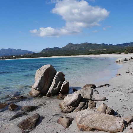 Appartamento Sole E Mare Budoni Exterior foto