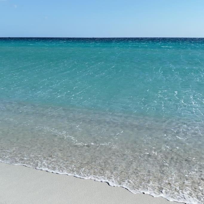 Appartamento Sole E Mare Budoni Exterior foto