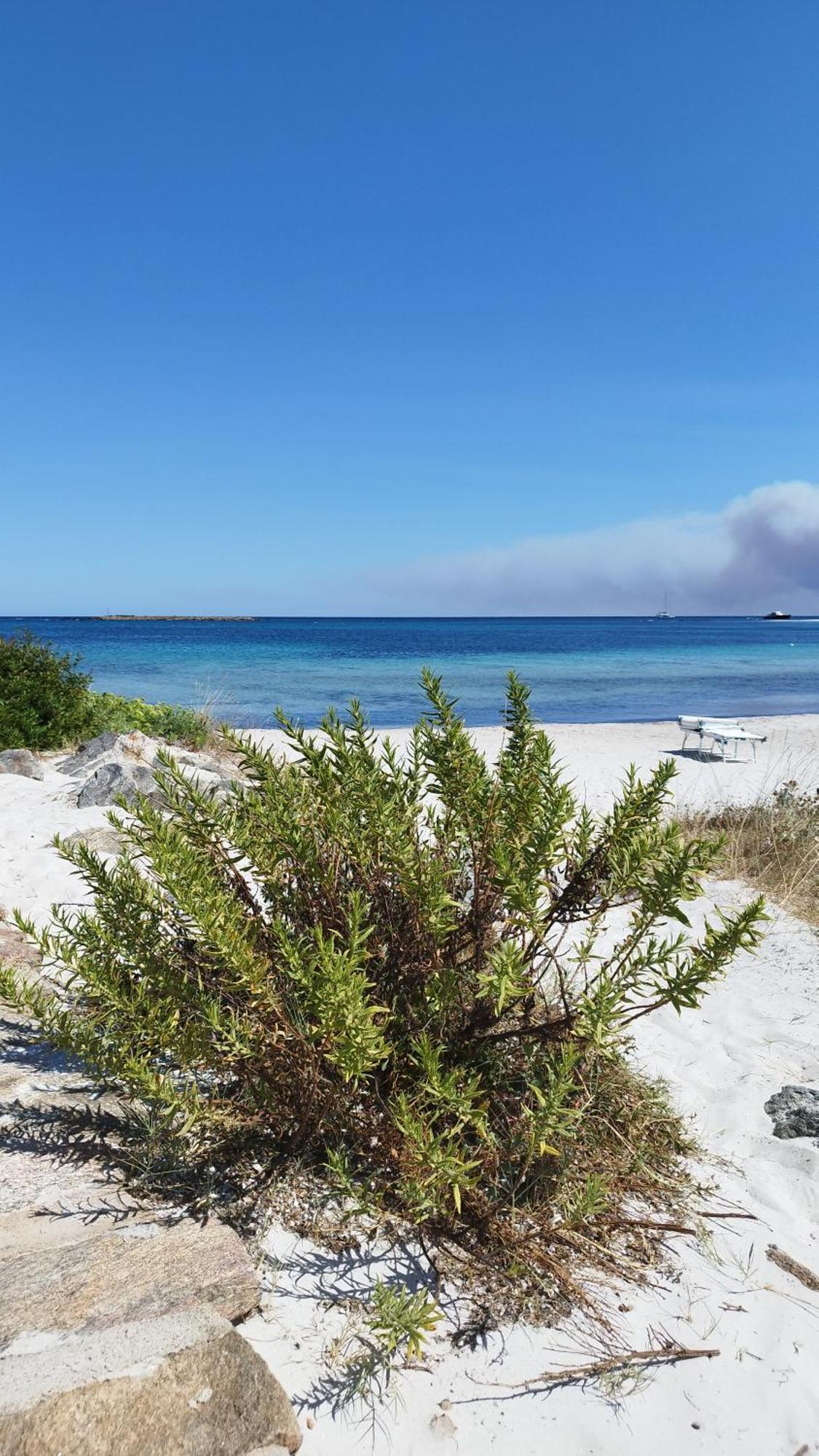 Appartamento Sole E Mare Budoni Exterior foto